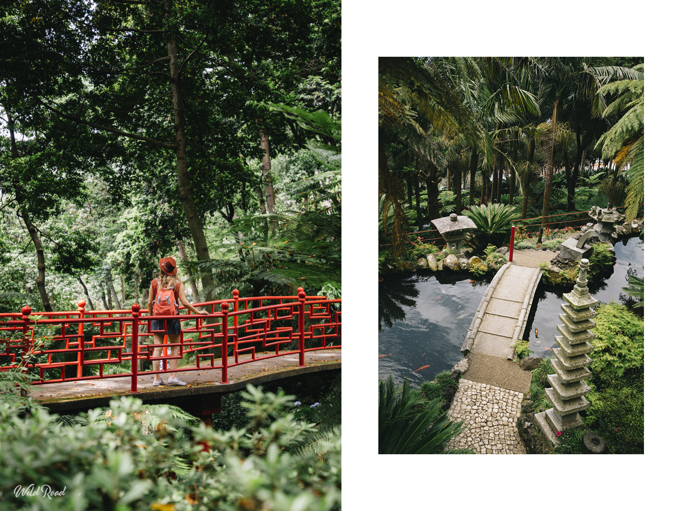 Jardin tropical Jardin tropical