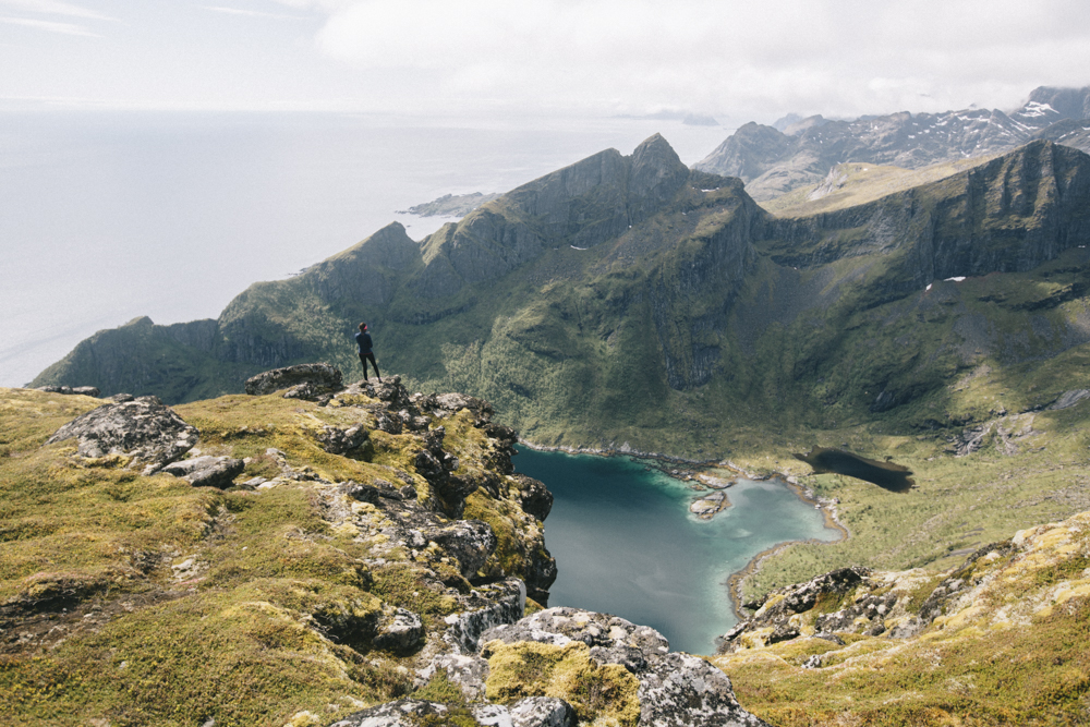 Reinerigen Norvège 