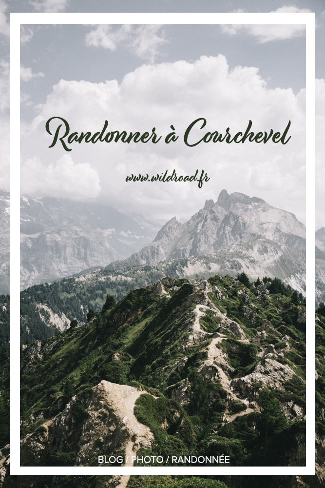 wildroad_courchevel_icon