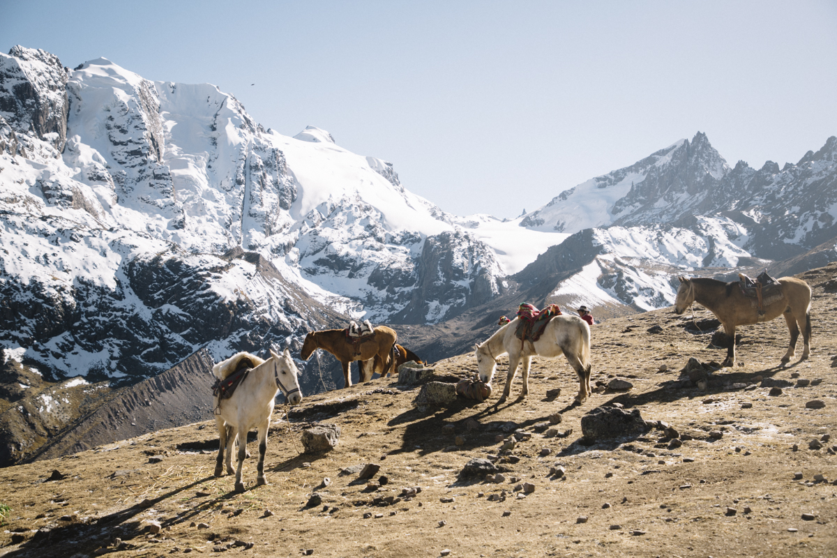 Chevaux Rainbow mountain