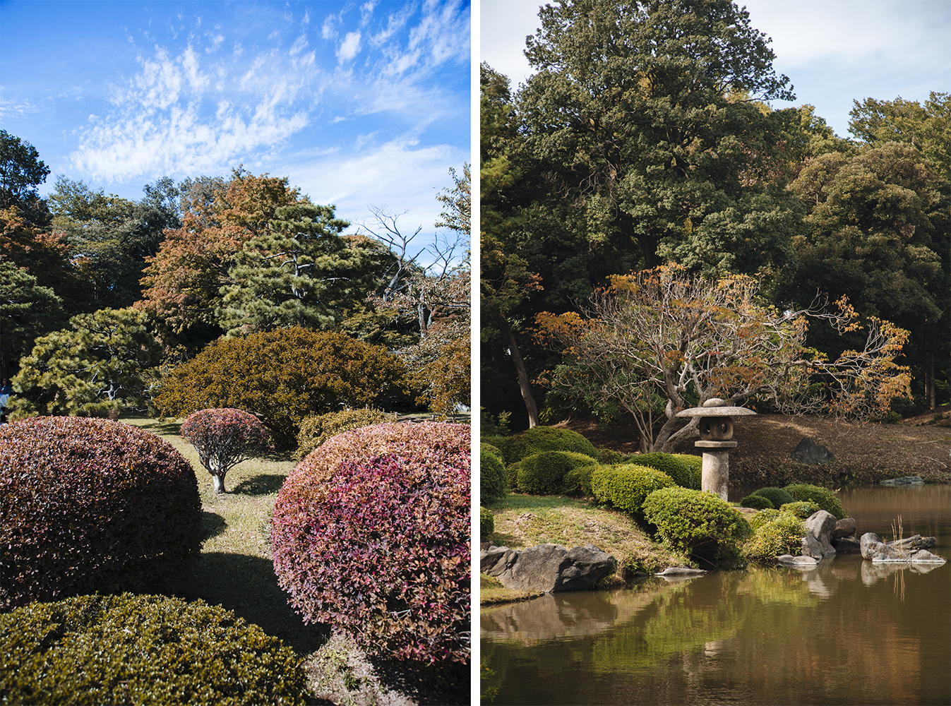 Rikugien parc