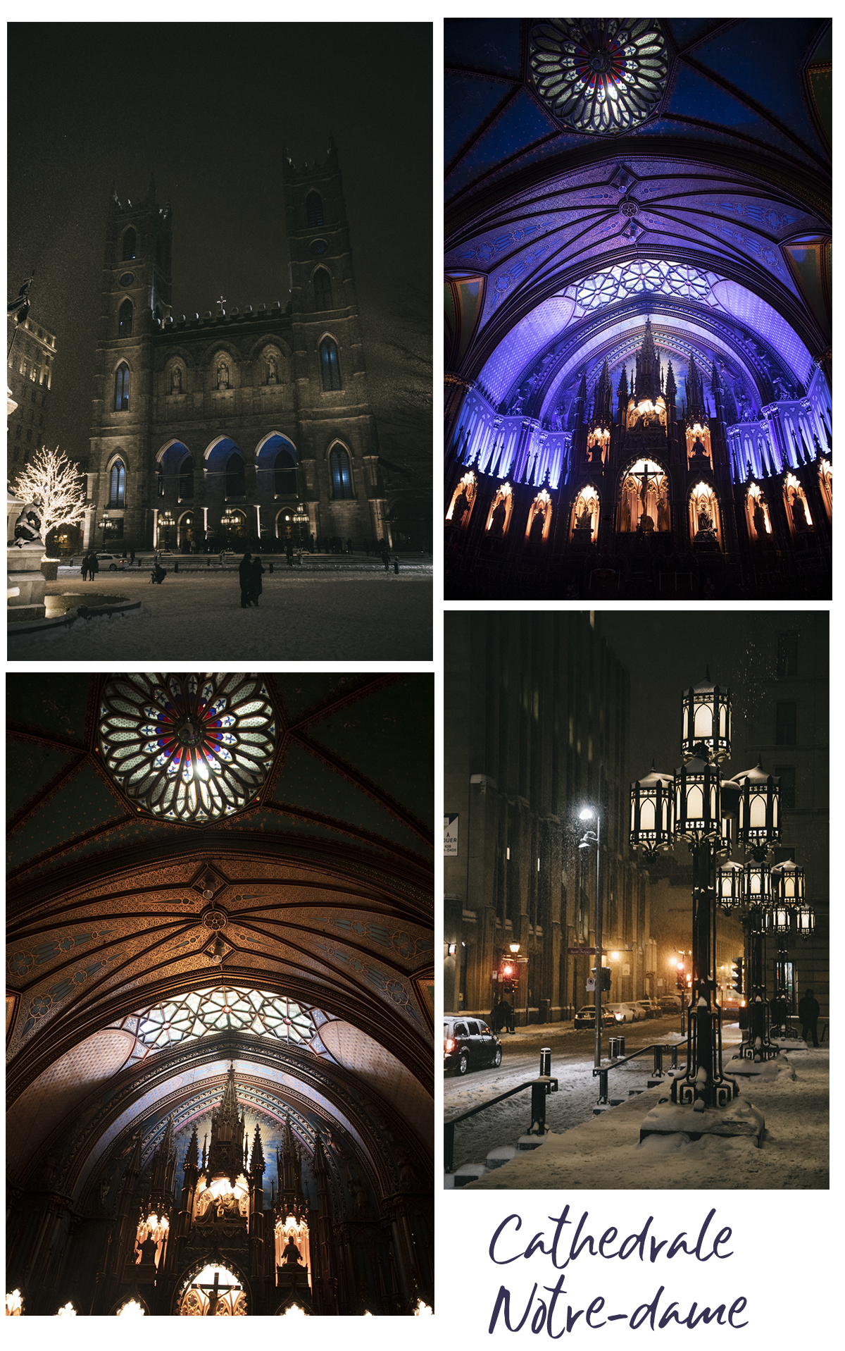 Cathedrale Notre-dame Montréal Aura moment Factory 
