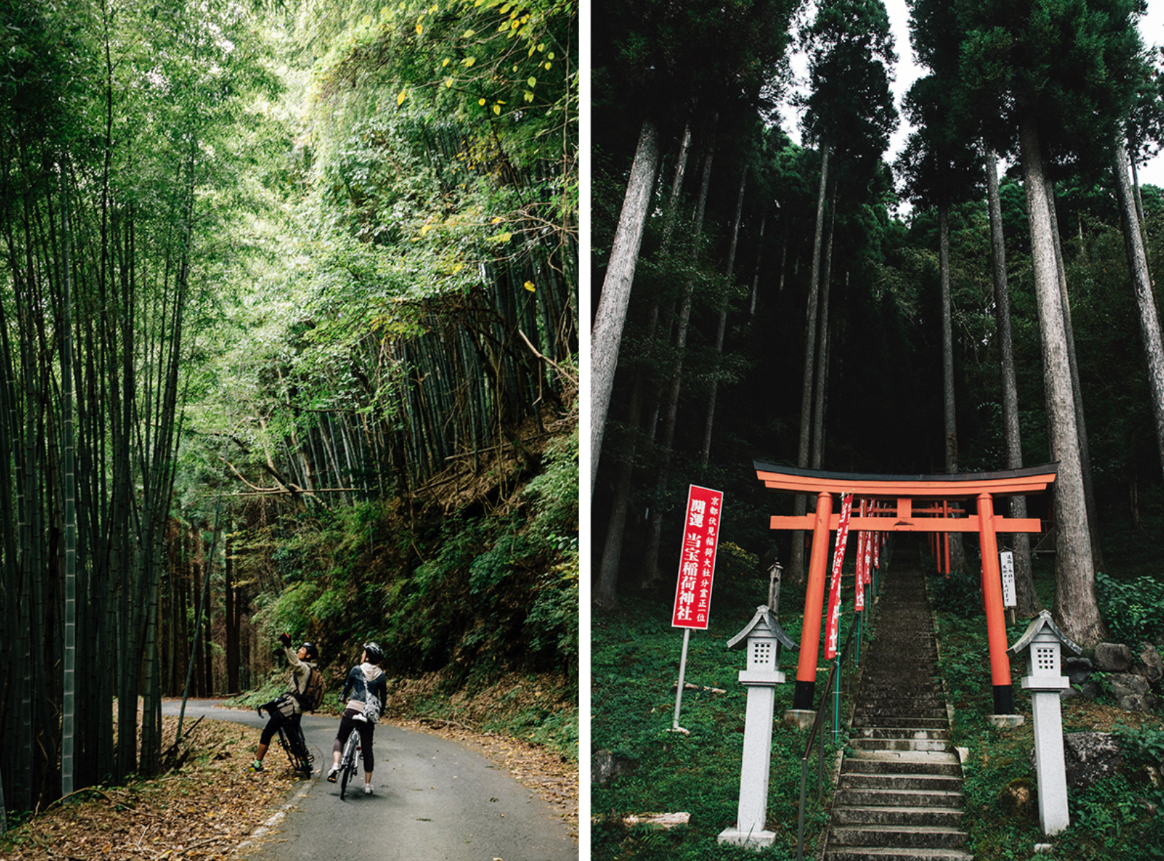 kumamoto bike vélo sport Shrine Japon kyushu kumamoto bike vélo sport Shrine Japon kyushu