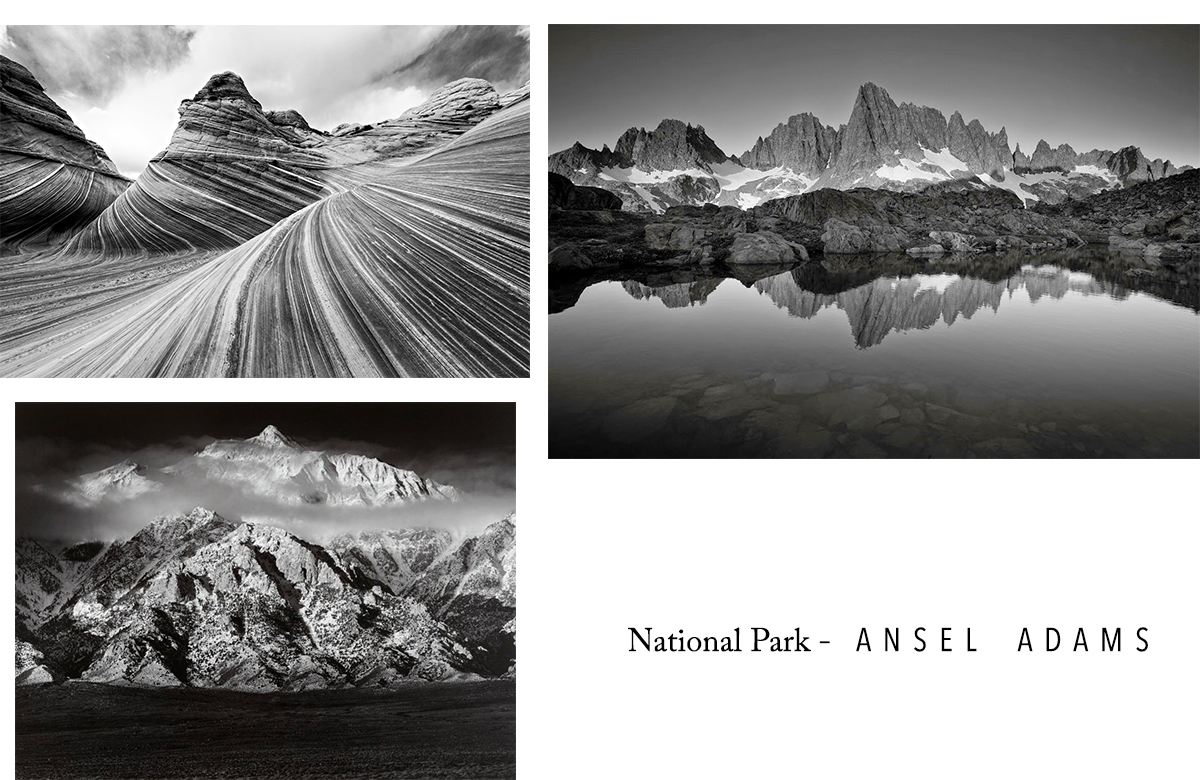 Ansel Adams National park