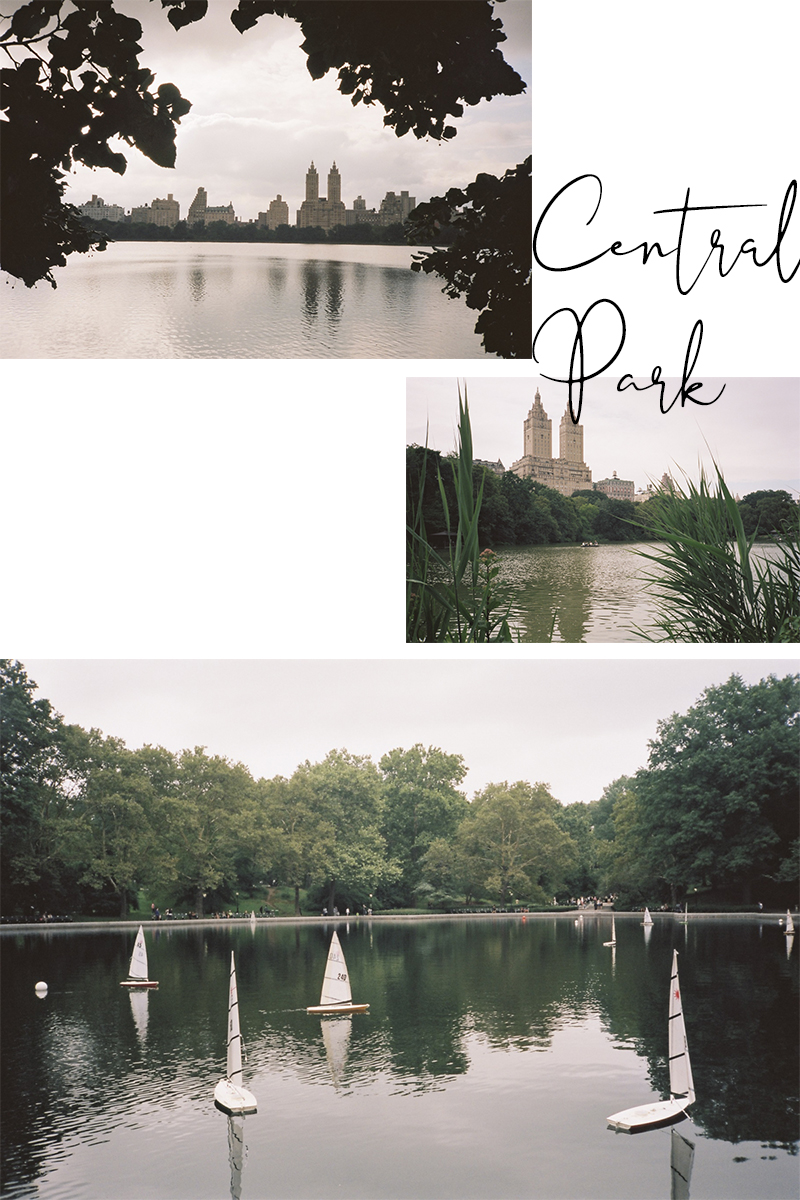 Central Park New-York
