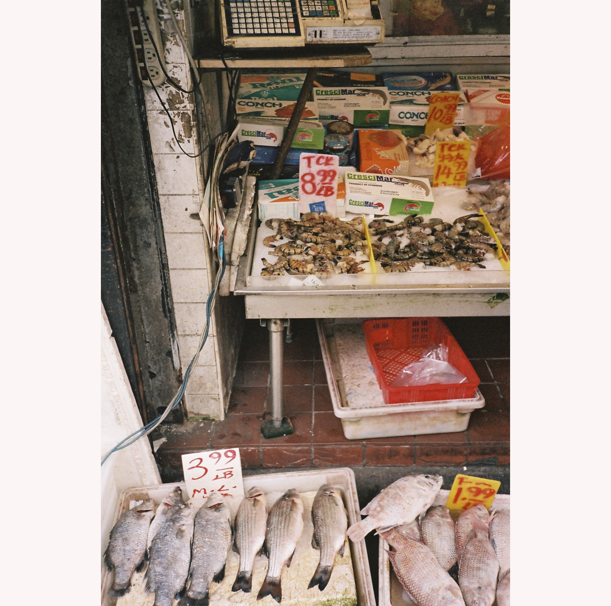 Chinatow New-York fish market