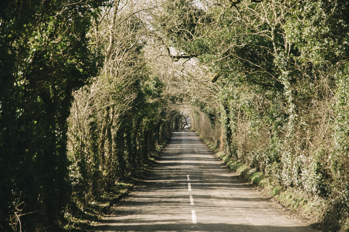 The dark Hedge Irlande du nord
