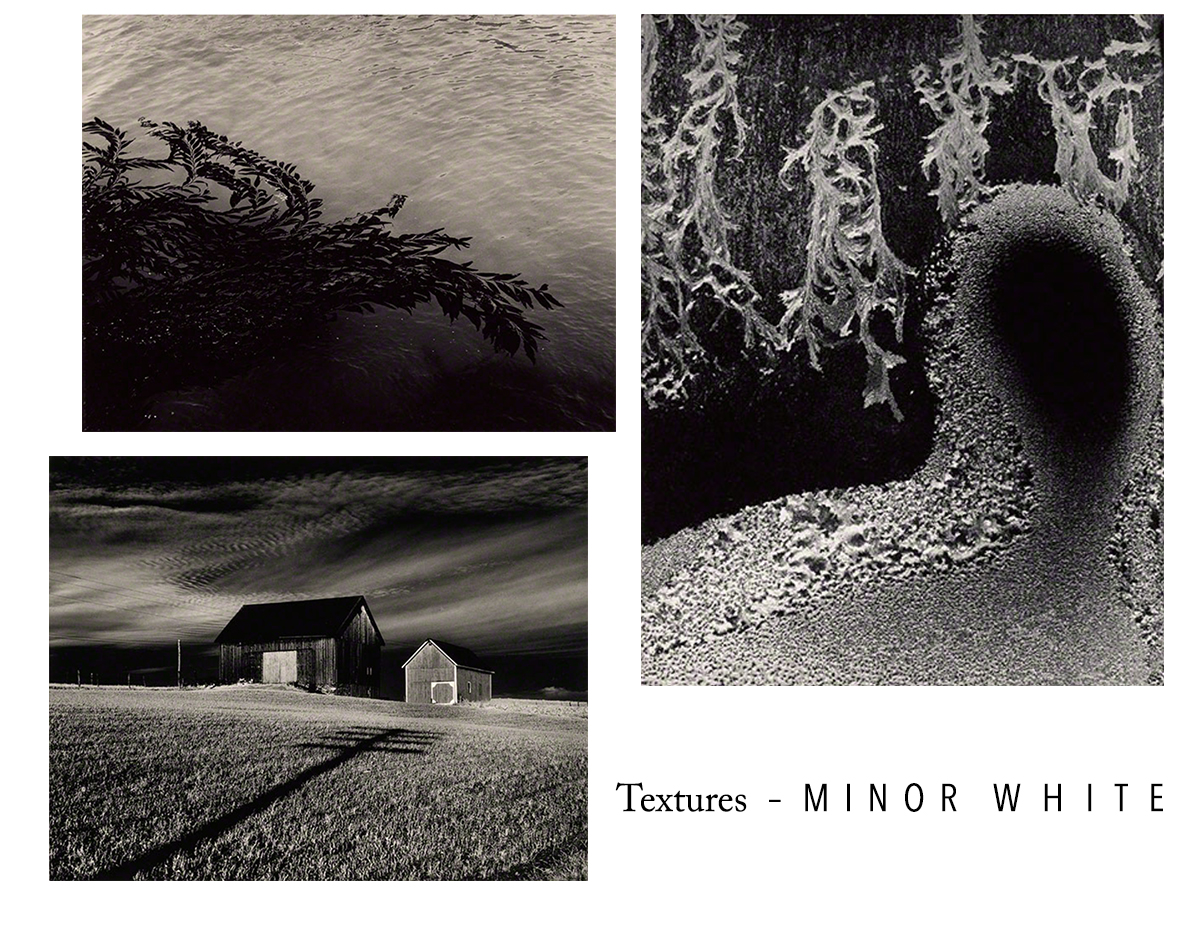 Minor White Textures