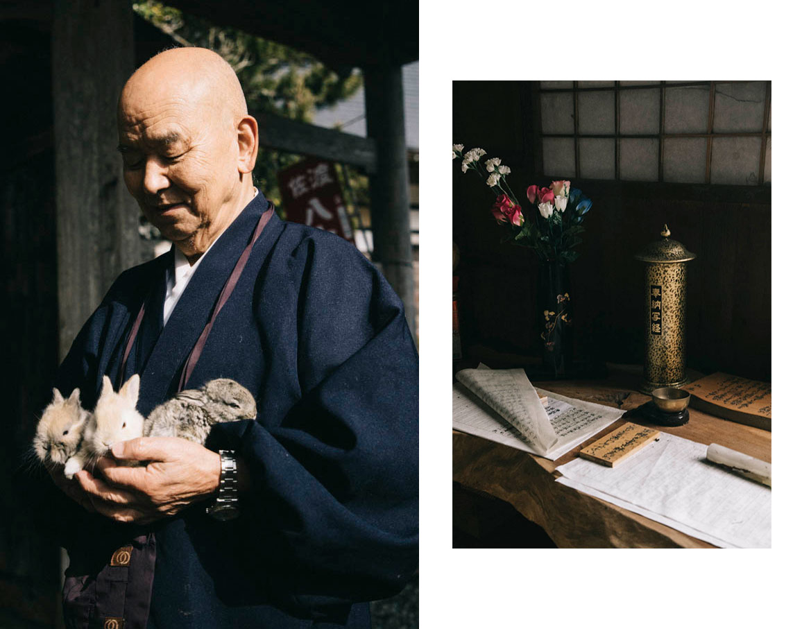 Les lapins du temple de Chokokuji sado island japon