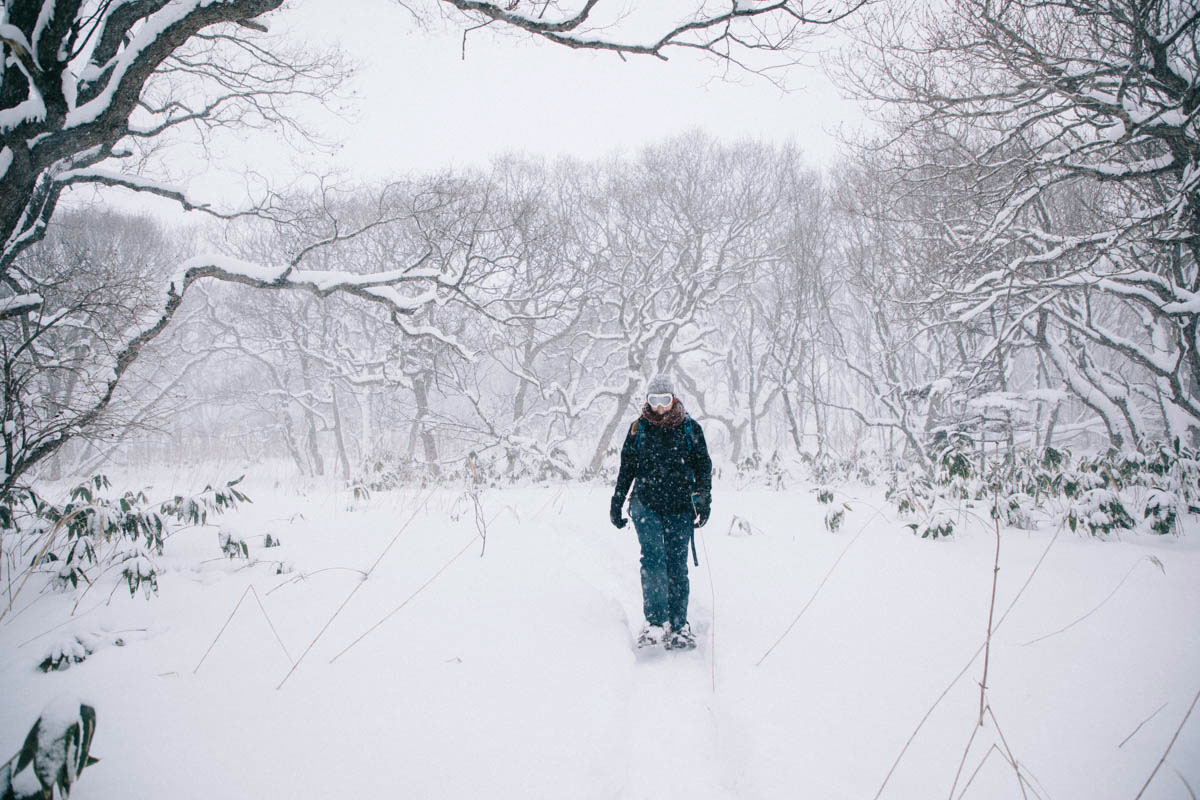 Sarobetsu parc national japon hokkaido wakkanai