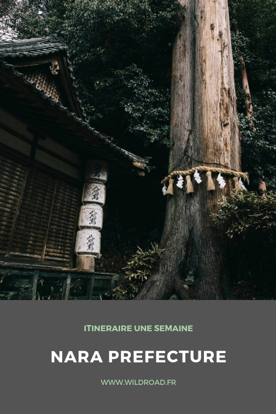 itinéraire une semaine Nara prefecture