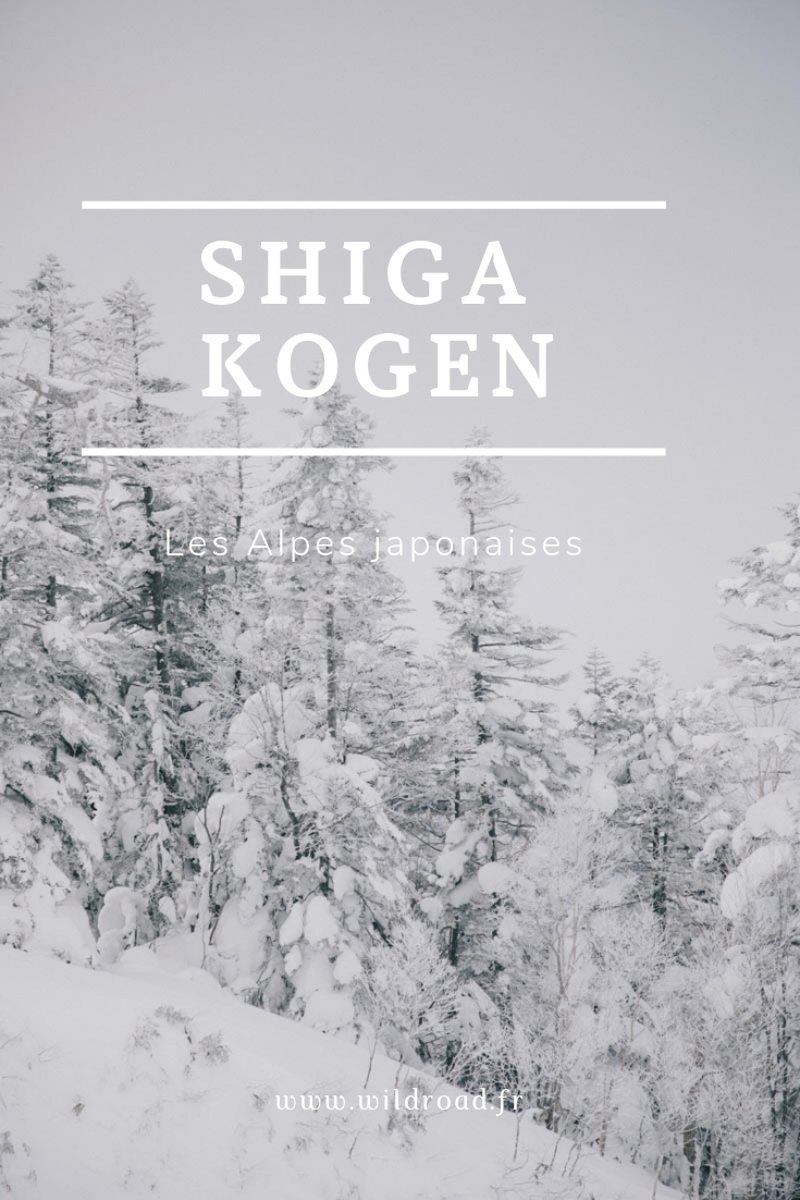 Shiga Kogen Ski Japon