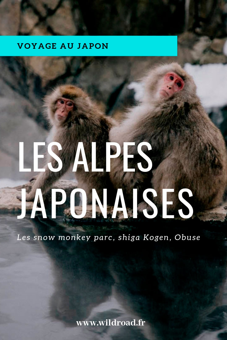 alpes japonaises obuse nagano shiga kogen Japon