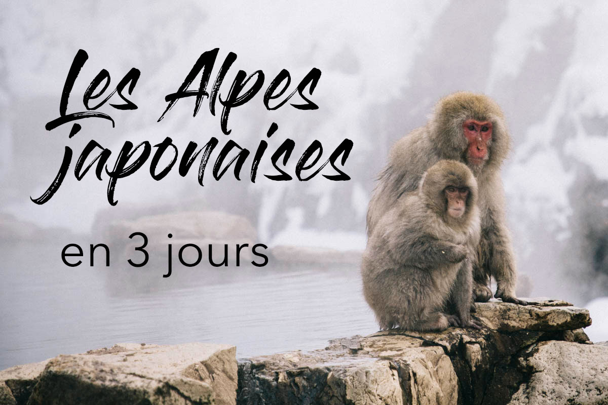 alpes japonaises road trip japon jigokudani obuse shiga kogen