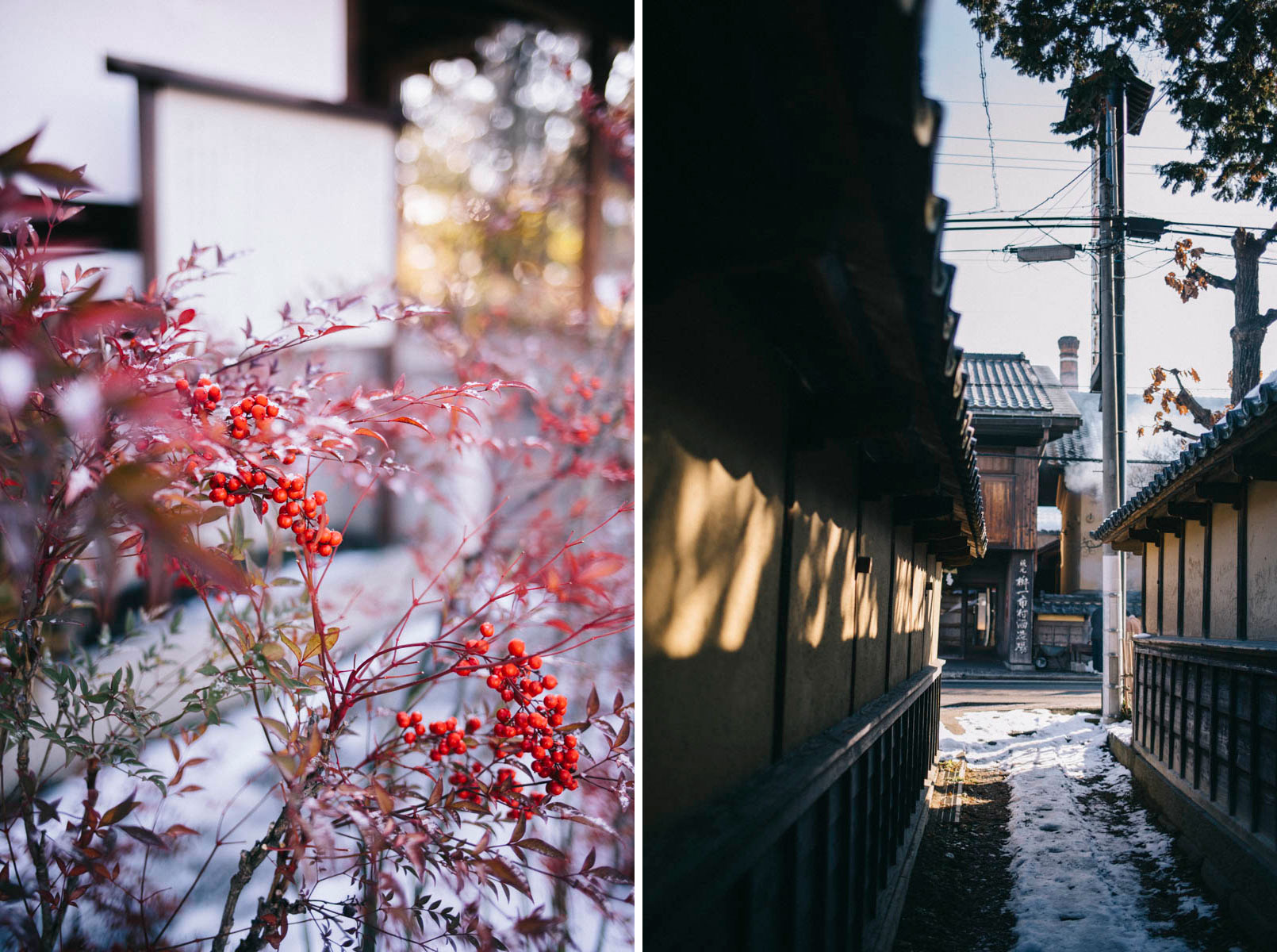 Nagano prefecture Japon alpes japonaises Obuse