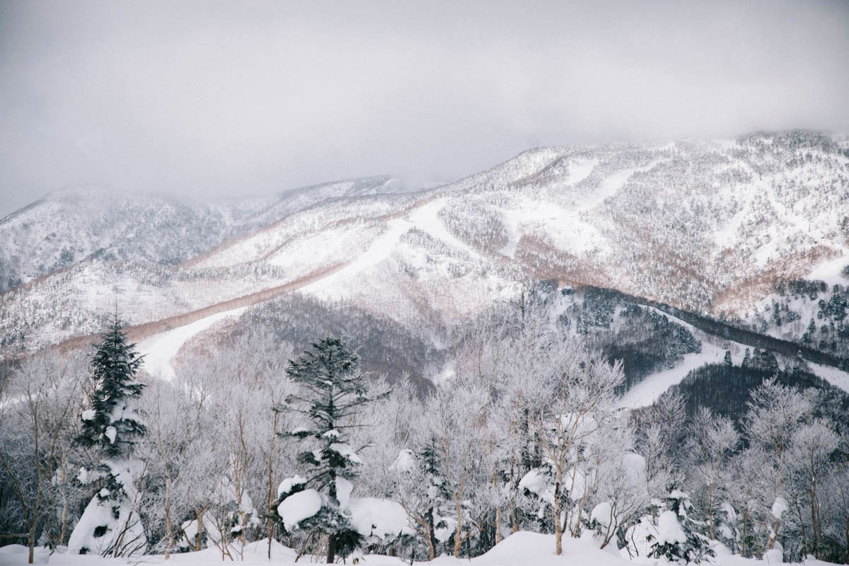 alpes japonaises station ski shiga kogen nagano