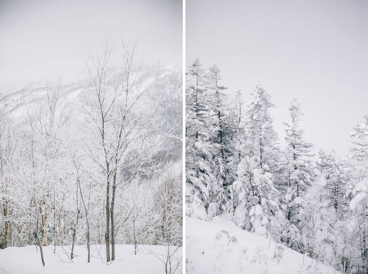 Shiga kogen nagano sapin blanc ski alpes japonaises