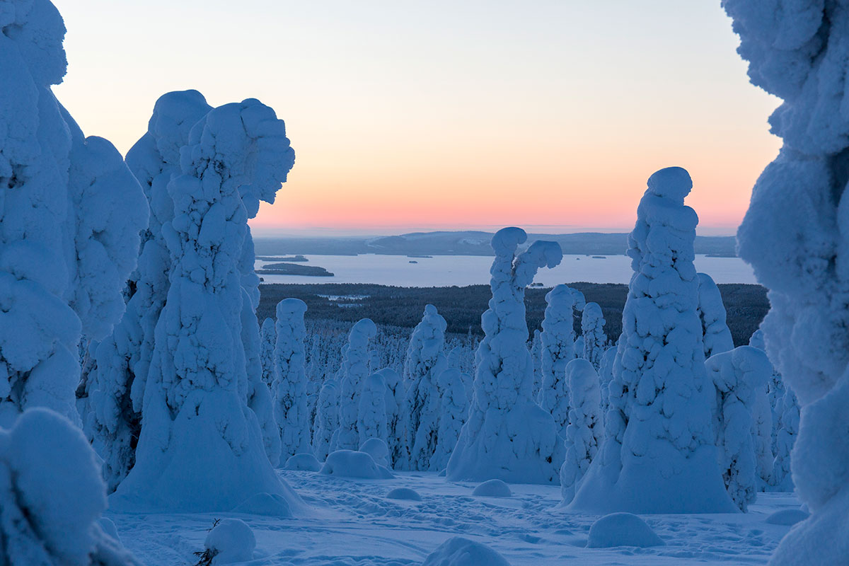 Paysage de la Laponie finlandaise en hiver