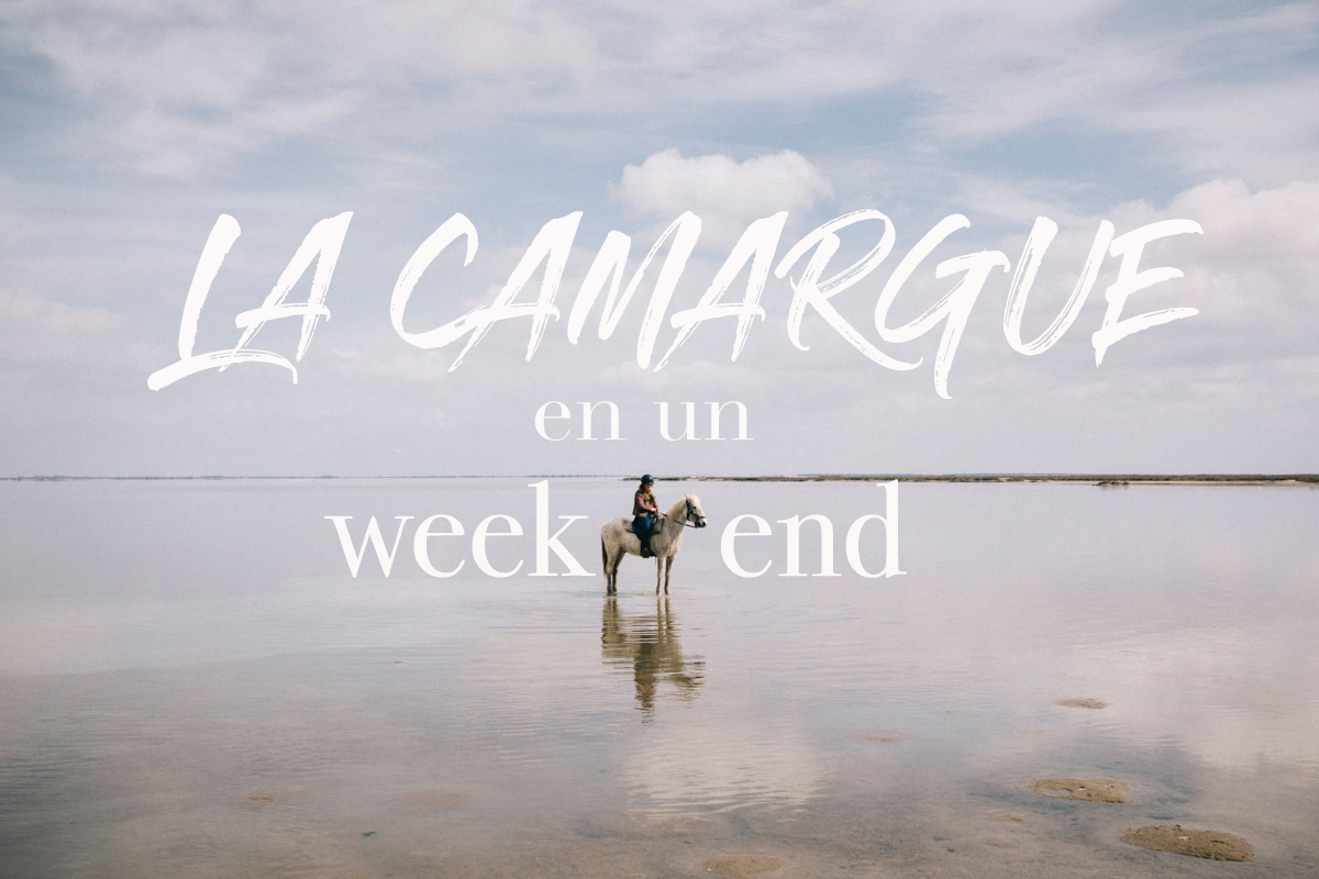 Un week-end en camargue les activités à faire