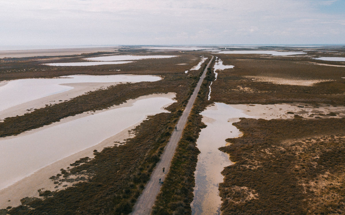 Sentier de randonnée la digue à la mer en Camargue dans le parc naturel régional