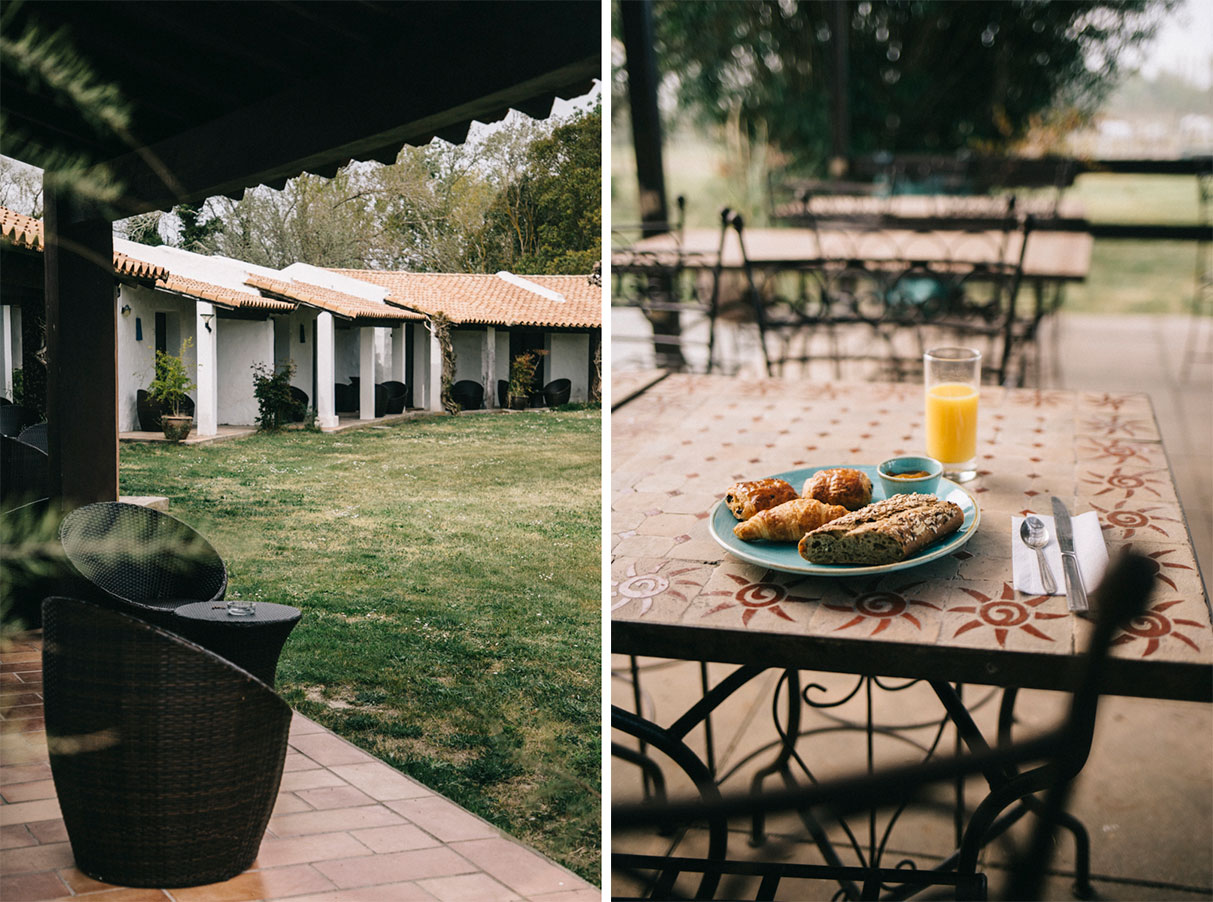 Petit-déjeunerons au Mas des Barres au coeur de la Camargue