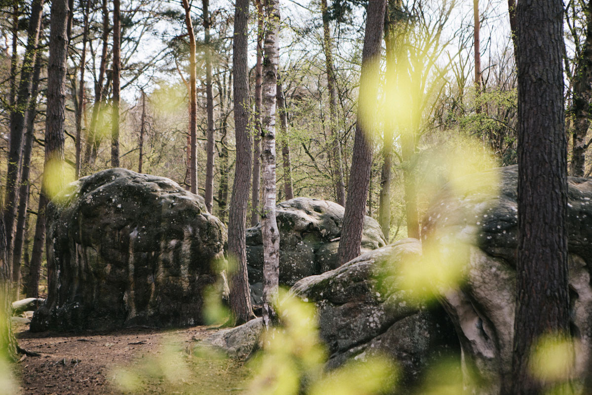 Paysage forêt de fontainebleau bloc de granit