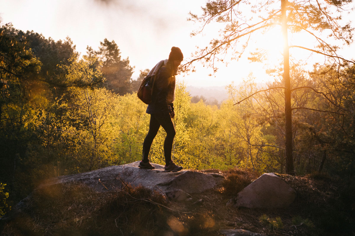 Foret de fontainebleau randonnée en deux jours de la Trans'bleausarde