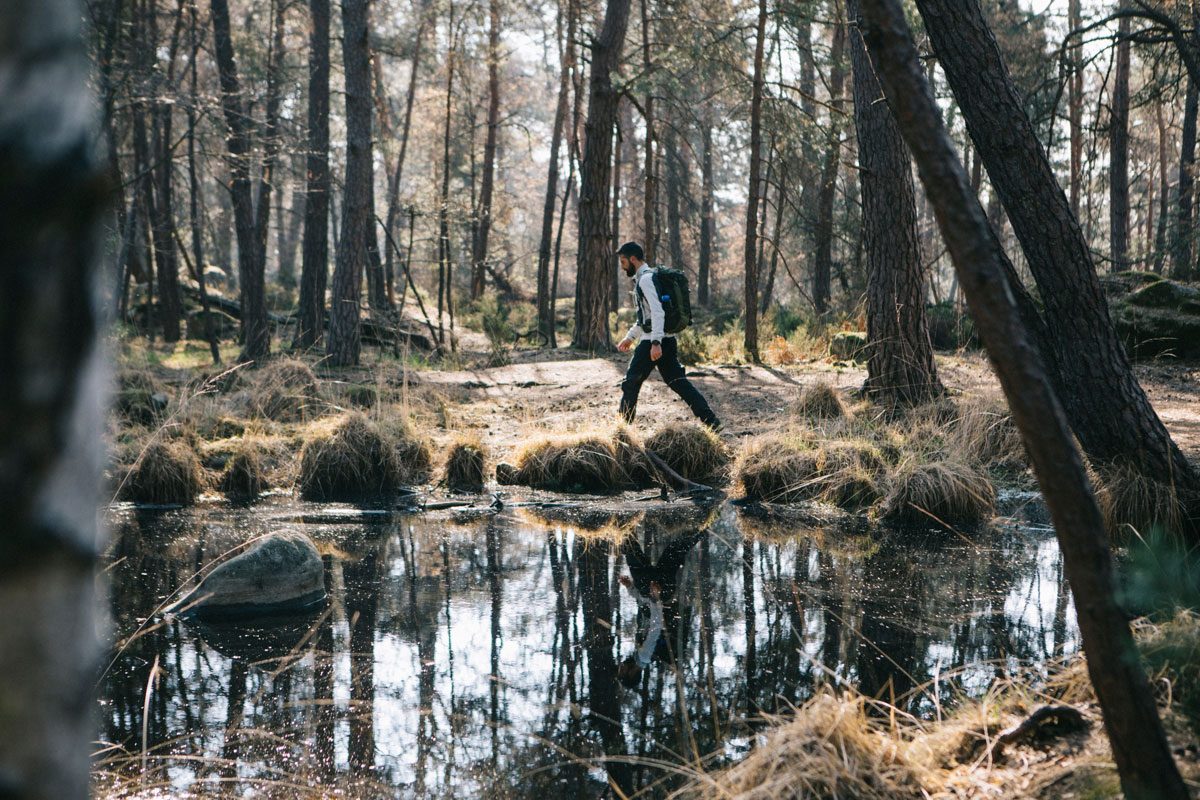 La mare du Piat, Forêt de fontainebleau, Randonnée