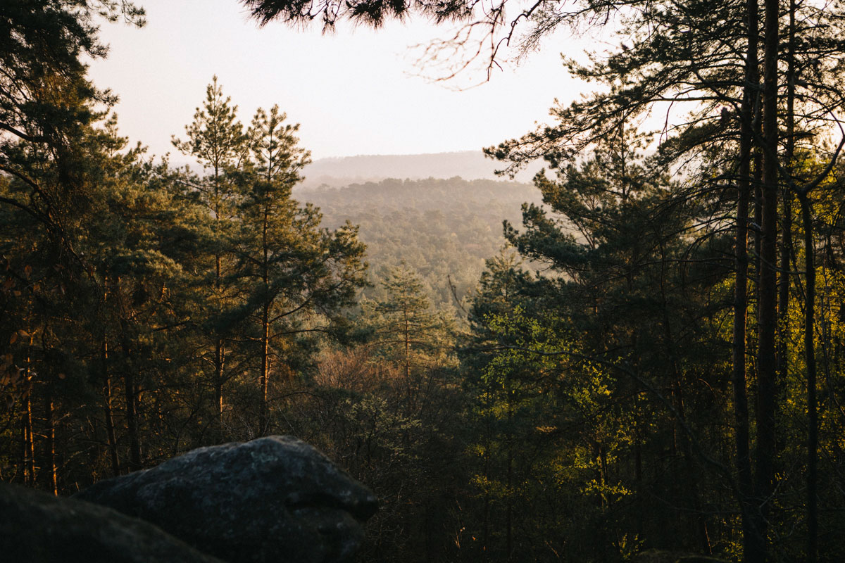 Randonnée gorges d'Apremont forêt de fontainebleau
