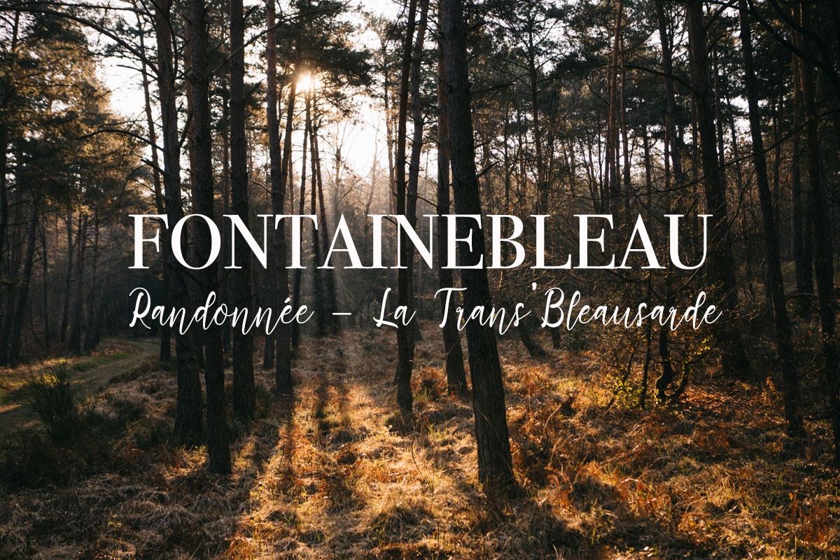 Randonnée de la Trans'Bleausarde Fontainebleau