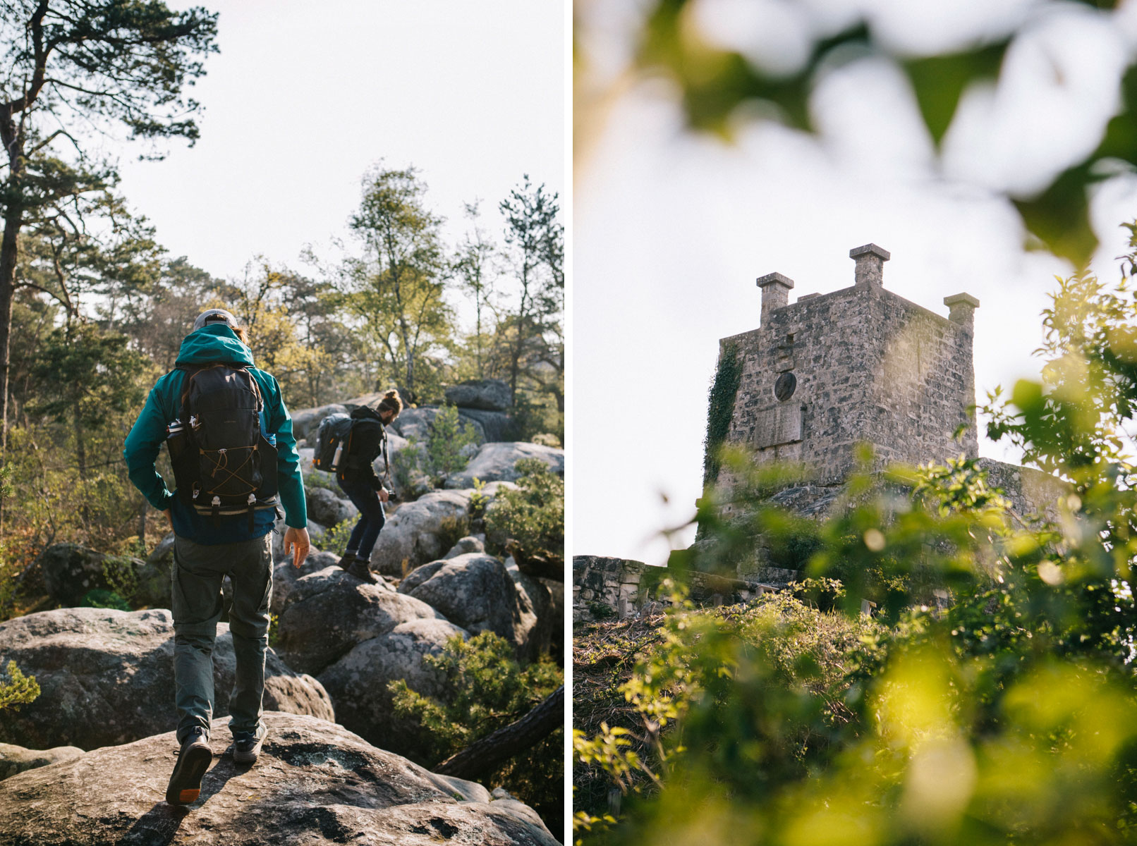 La tour de denon court sur le sentier du même nom dans la forêt de fontainebleau