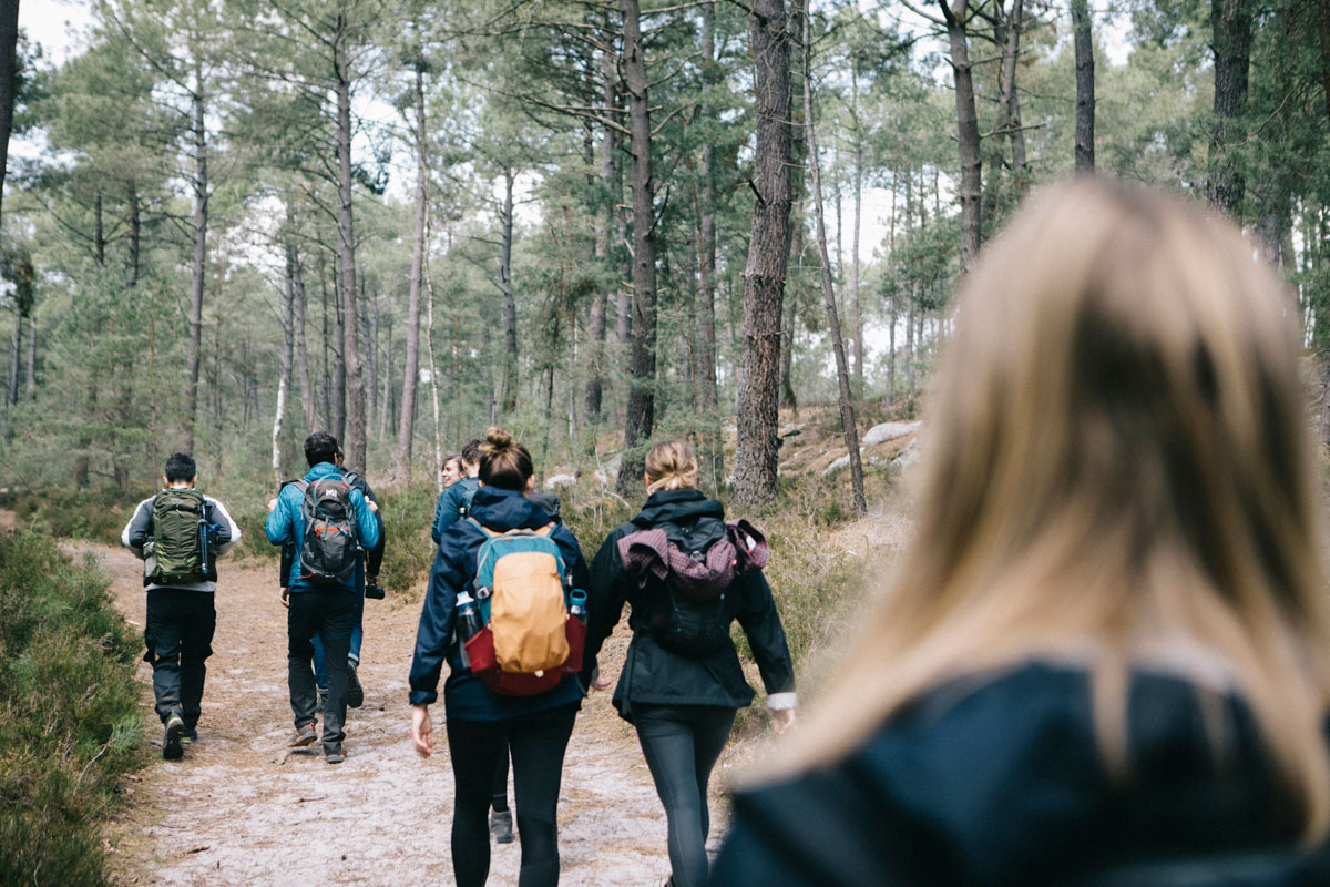 Plaine de chanfroy forêt de fontainebleau week-end randonnée