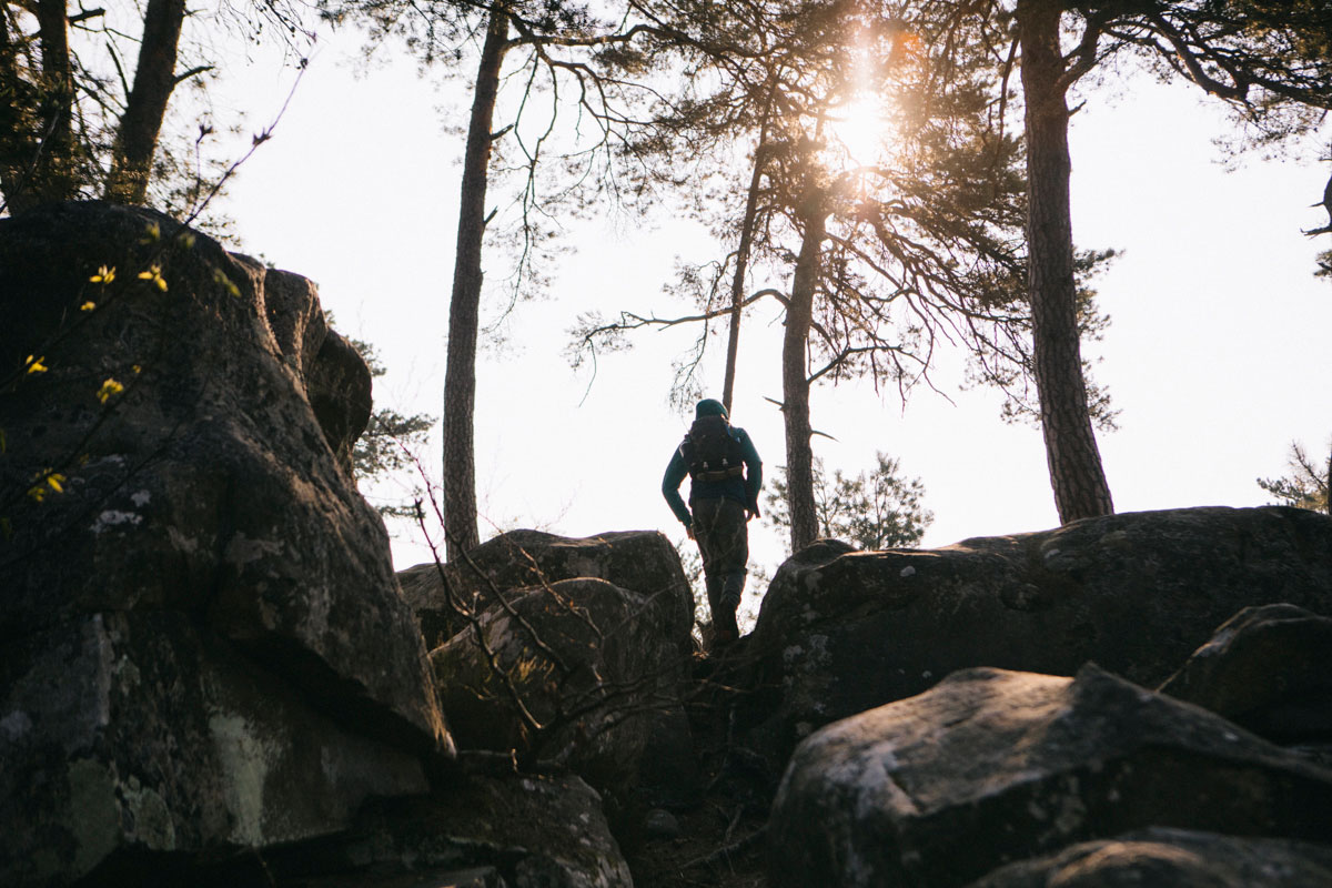 Randonnée dans la forêt de fontainebleau sur le sentier Denoncourt