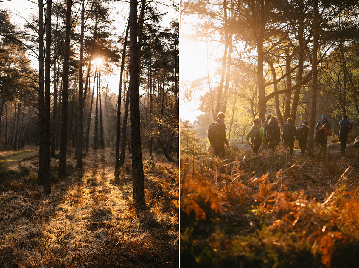 randonnée et lever de soleil dans la forêt de fontainebleau