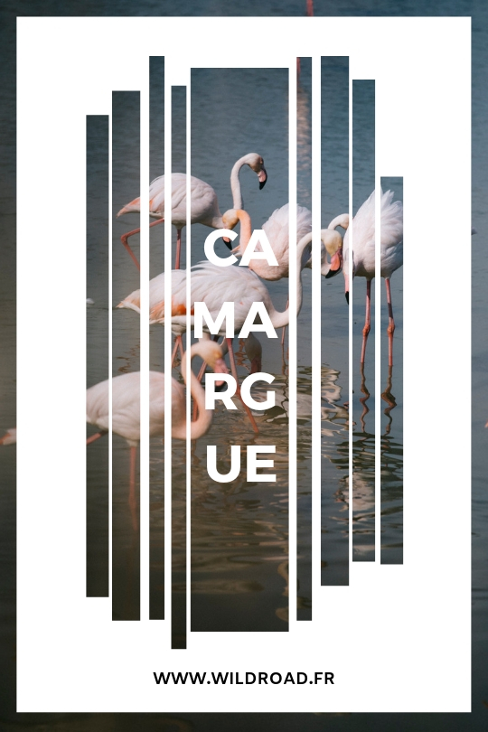 Que voir et que faire lors d'un week-end en Camargue