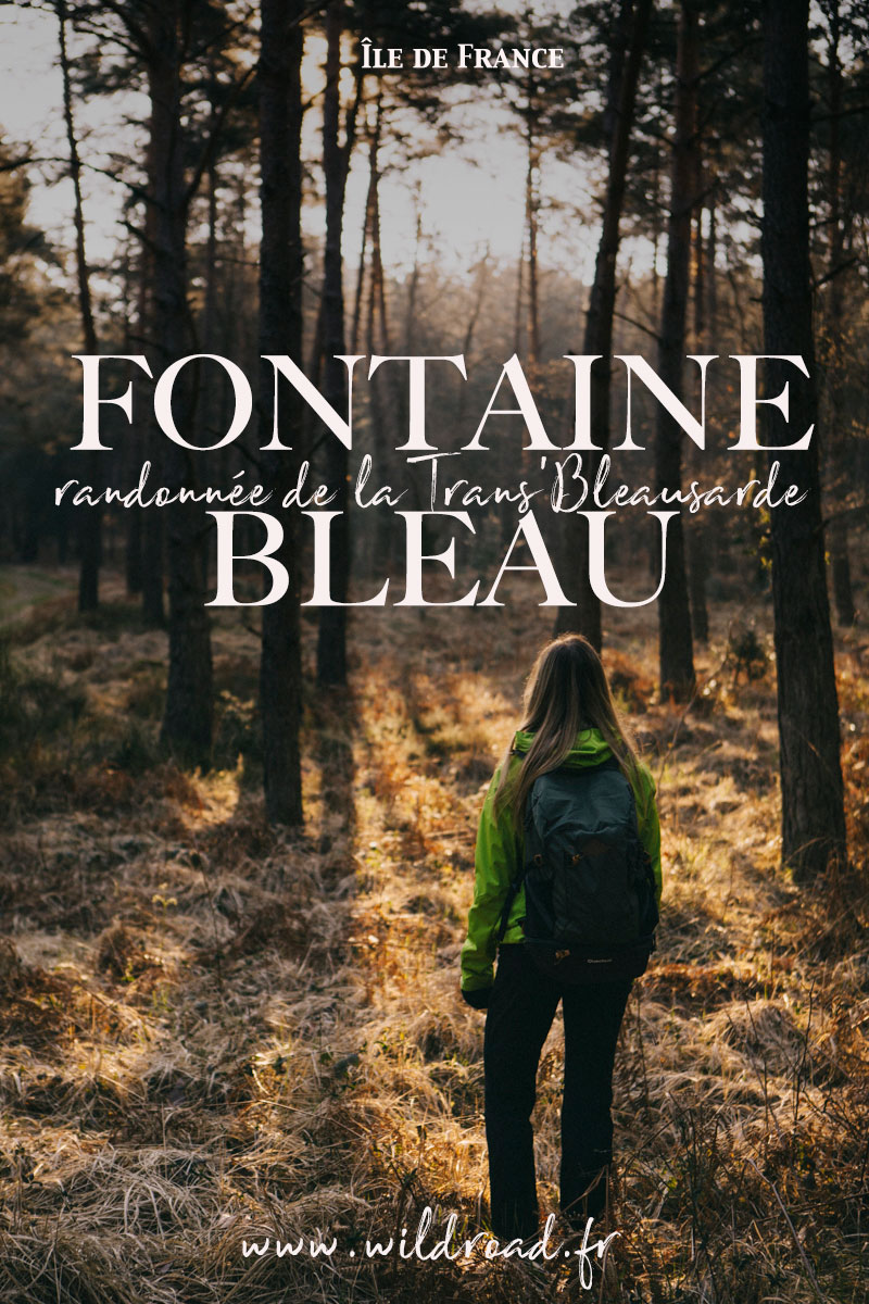 Randonner dans la forêt de fontainebleau