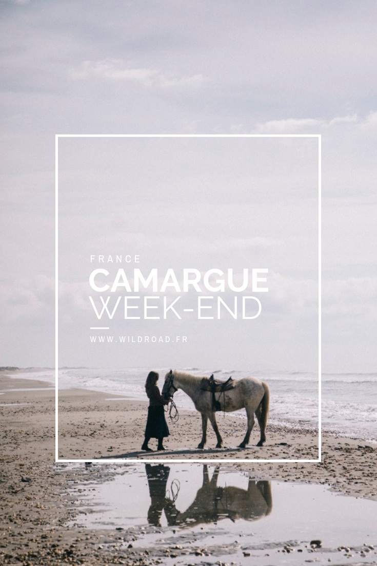 Séjour en Camargue pour deux jours faire du vélo du cheval et voir les flamants roses