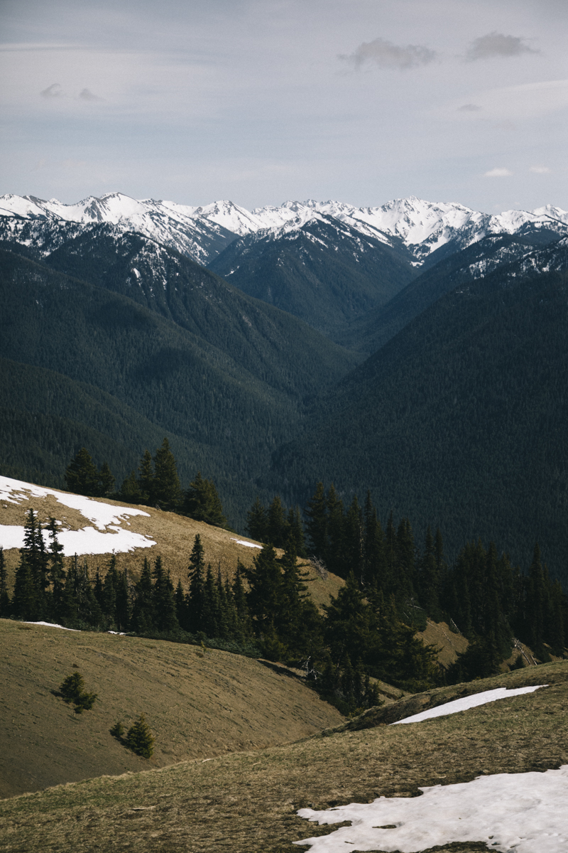 panorama depuis le visitor center hurricane Ridge