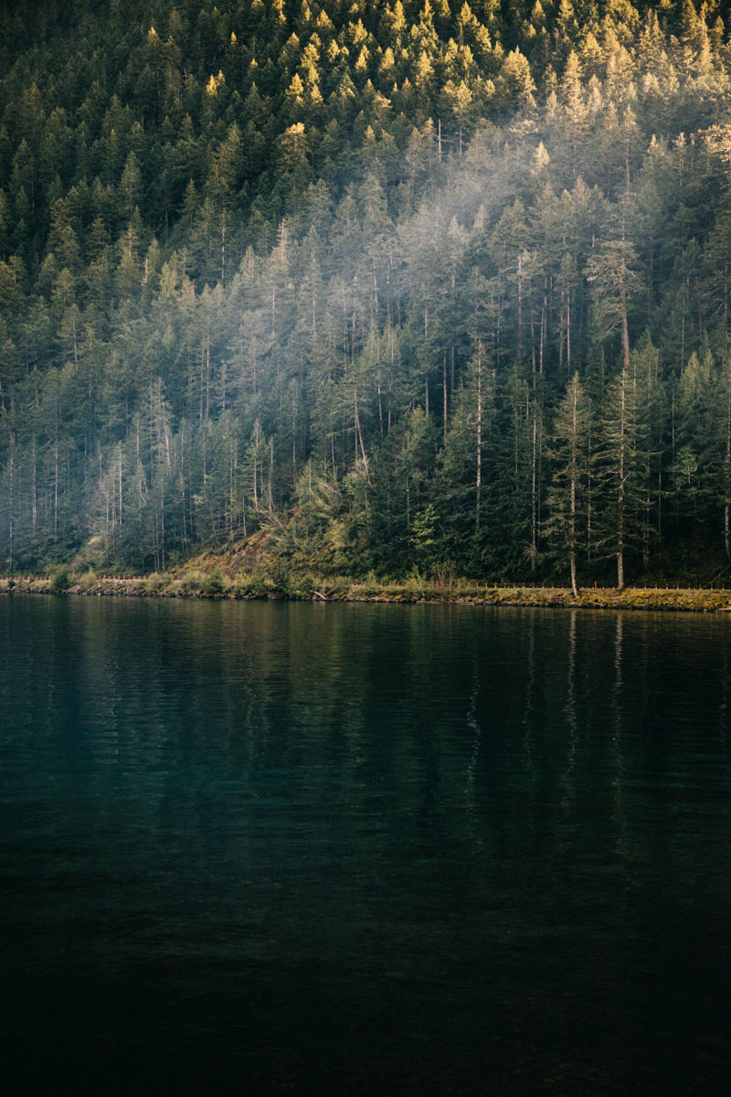 peninsule Olympique brume lake crescent