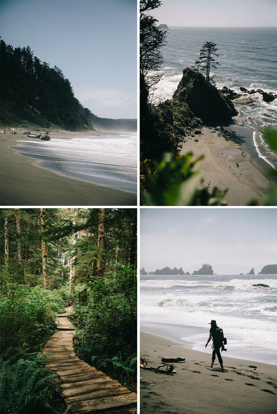 Trail de Shi-Shi Beach reserve Makah