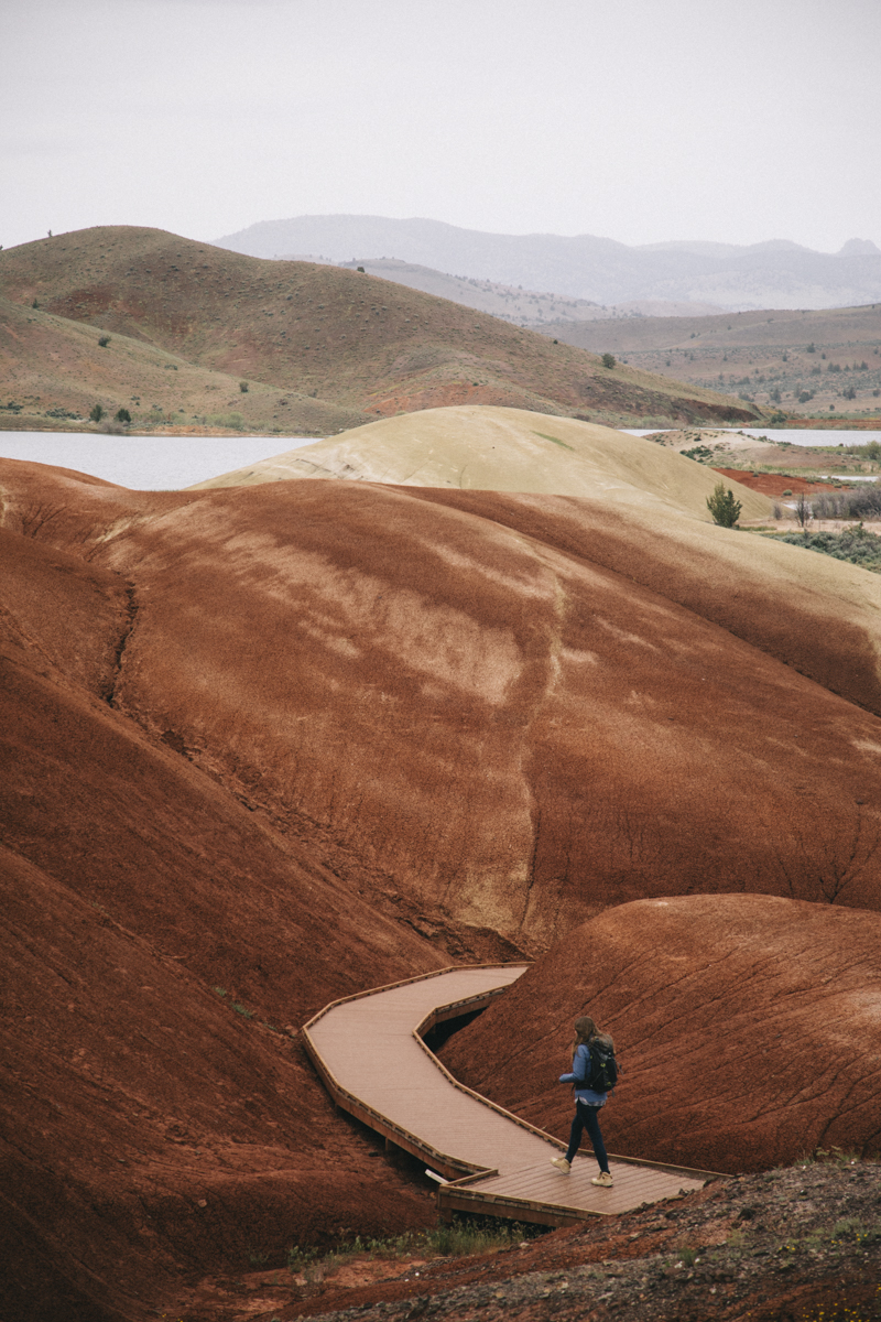 red cove trail painted hills