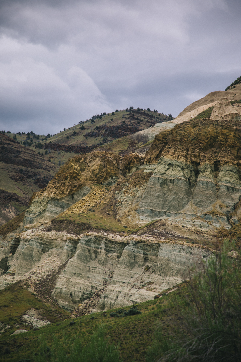 john Day fossil sheep Rock