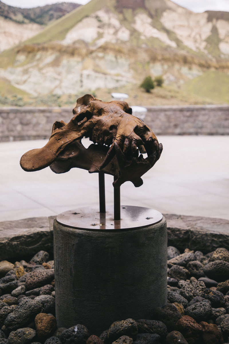John Day fossil sheep rock