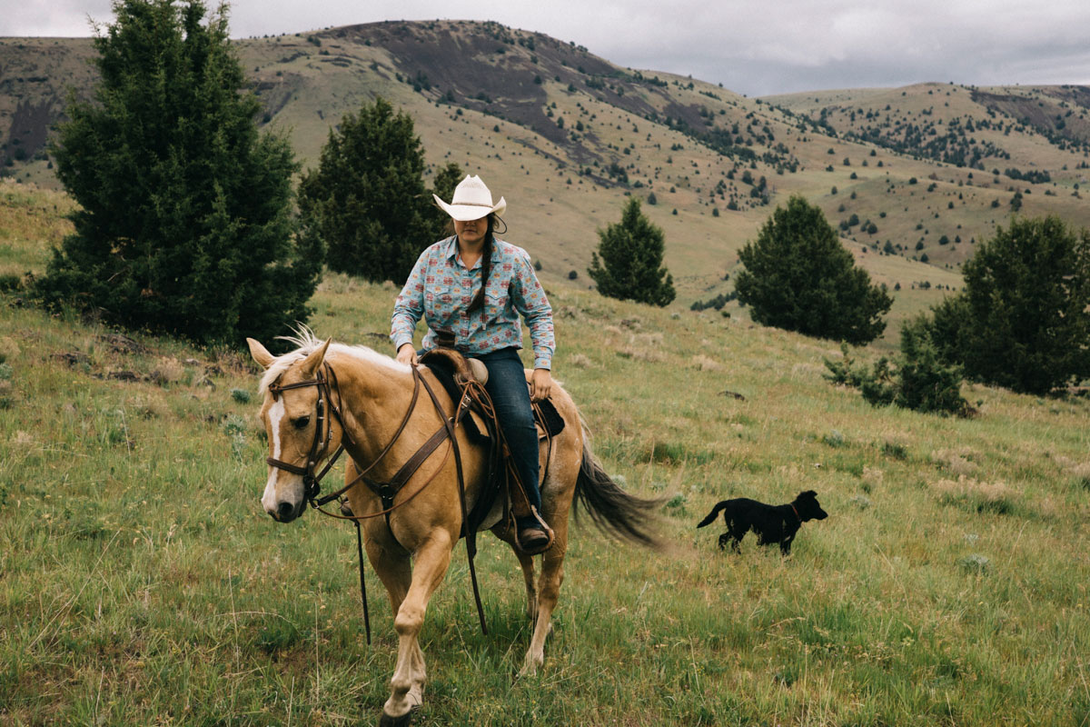 Cow boy dans les plaines de fossil 