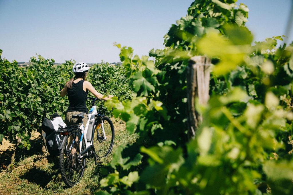 randonnée à vélo en passant par les vignes du Gers