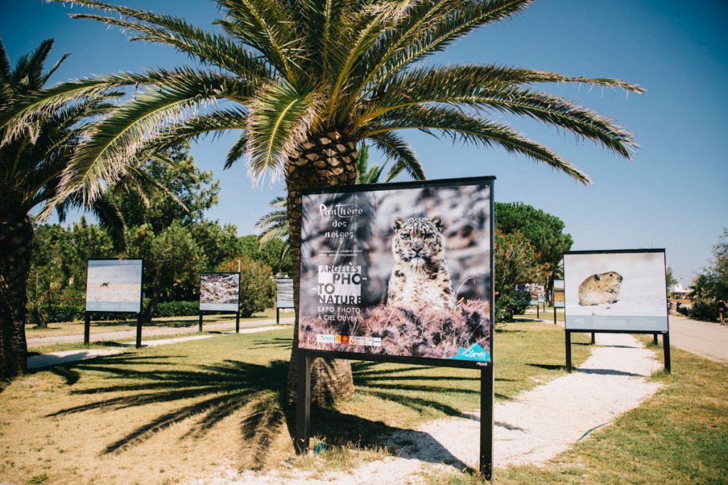 Argelès Photo-Nature exposition sur le front de mer. crédit photo : Clara Ferrand - blog Wildroad