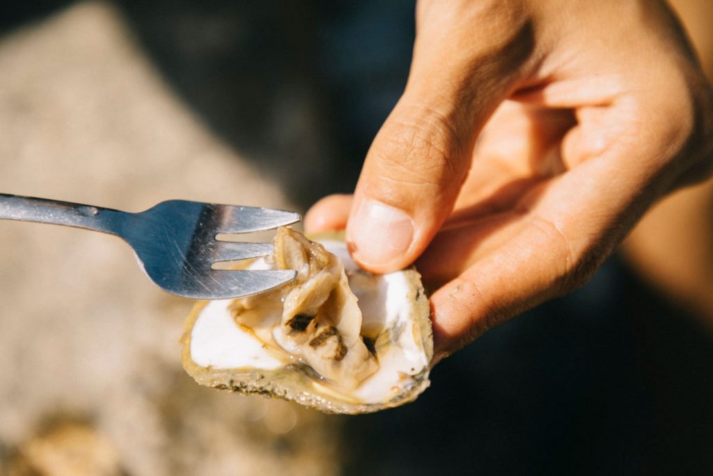 les huîtres plates de Cancale