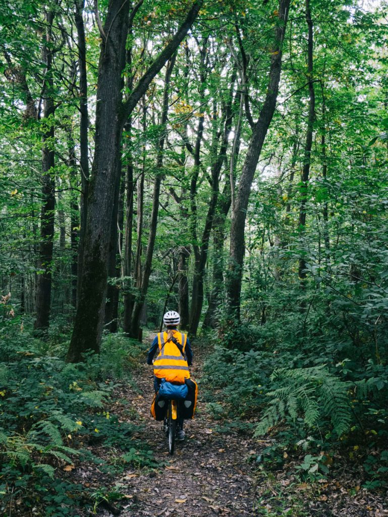 se perdre en foret à vélo