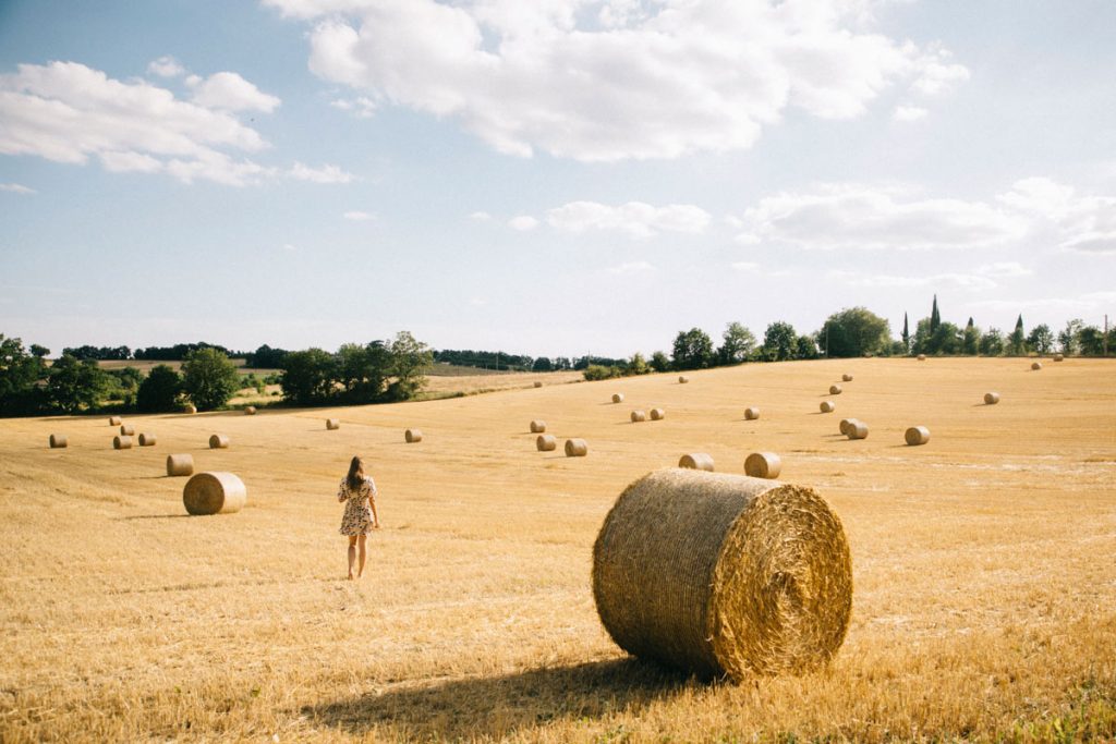 les champs de blé dans le tarn et Garonne. crédit photo : Clara FERRAND - blog Wildroad