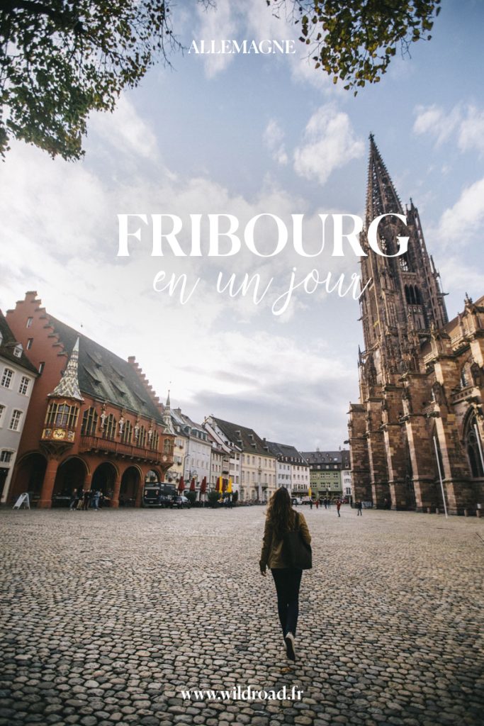visiter Fribourg en Brisgau le capitale de la forêt noire